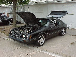 84 Mustang